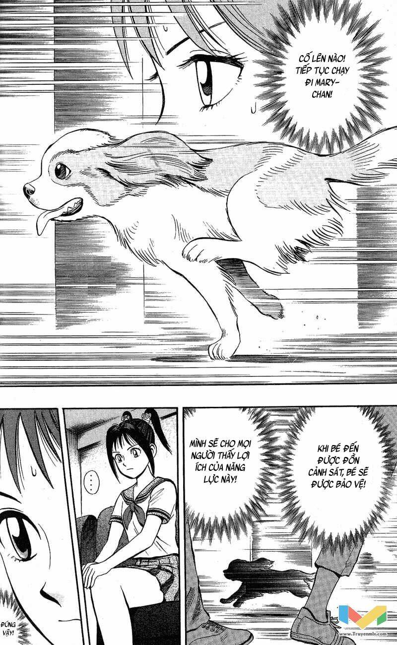 animal sense chapter 7 5