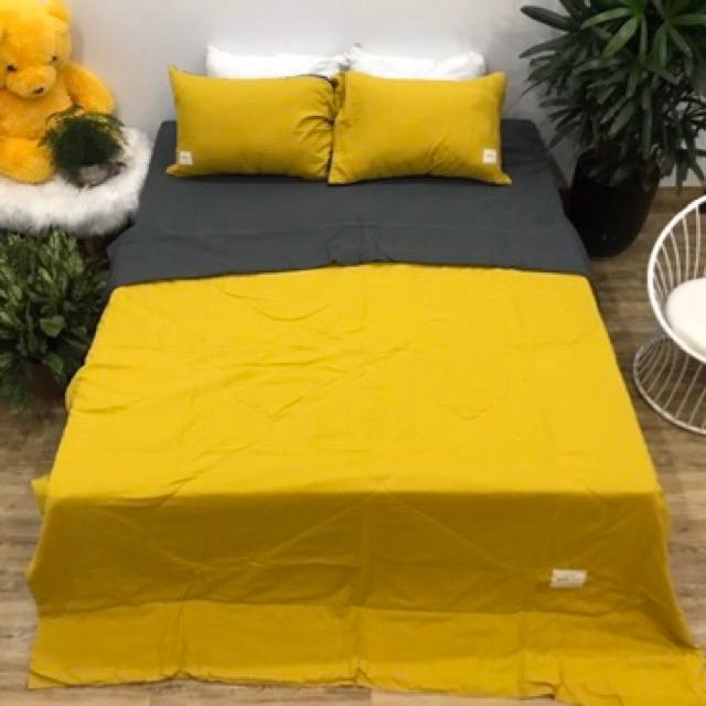 Set Cotton Tici Chăn Trần Sẵn Hàng Nhập Khẩu Cao Cấp 4 Món