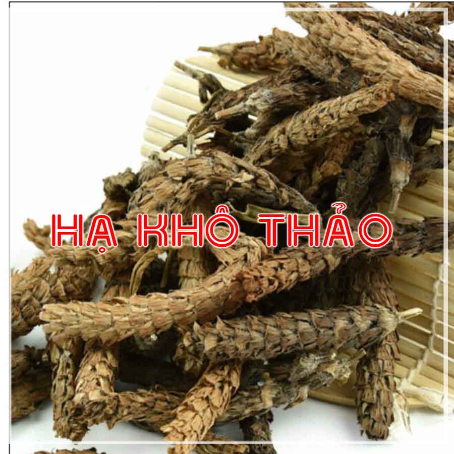 100g Hạ Khô Thảo khô sạch