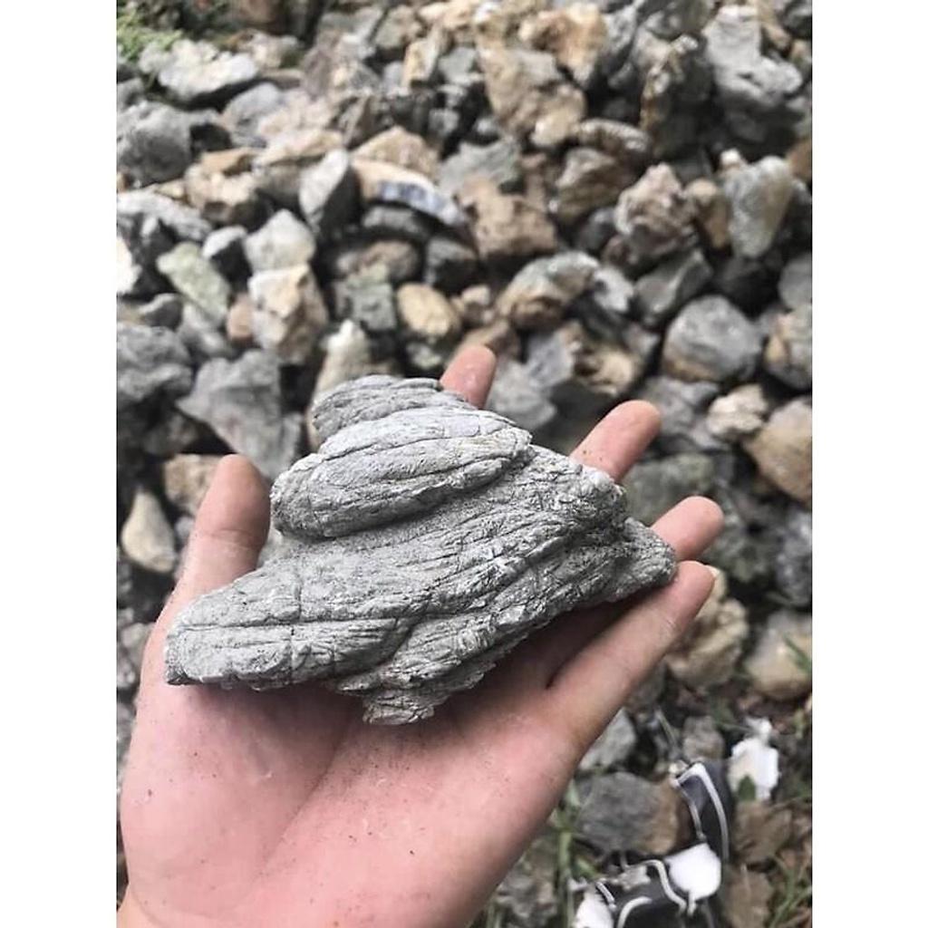 1kg đá Da Voi Trang Trí Bể Cá Thủy Sinh Mang Vẻ Đẹp Tự Nhiên