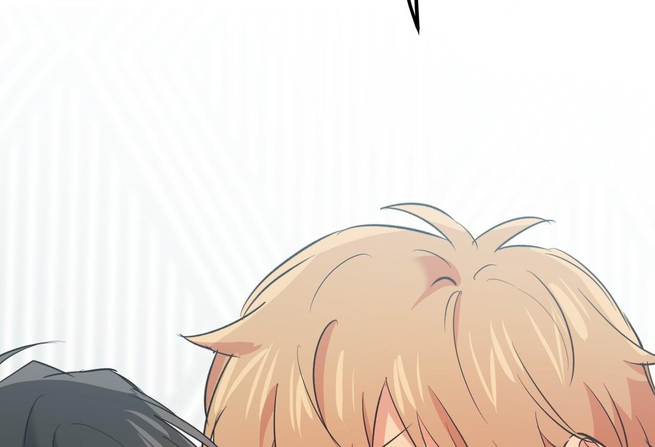 những chú thỏ của hapypy chapter 61 4