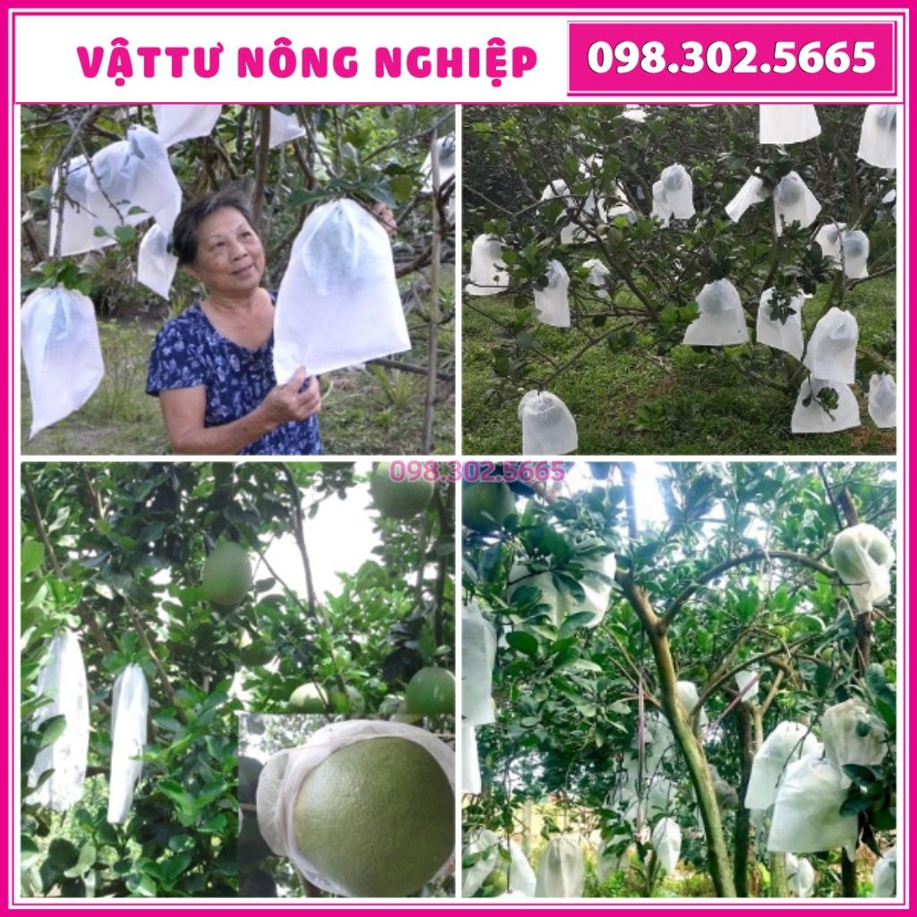 Set 200 Túi bọc bưởi 30x30cm dùng cho bưởi, cam, xoài, mãng cầu, túi bọc trái cây