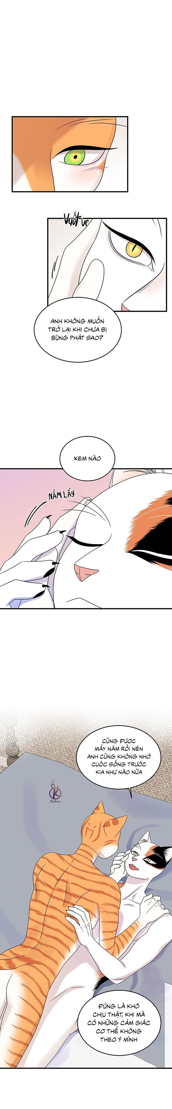 dự án xanh chapter 49 1