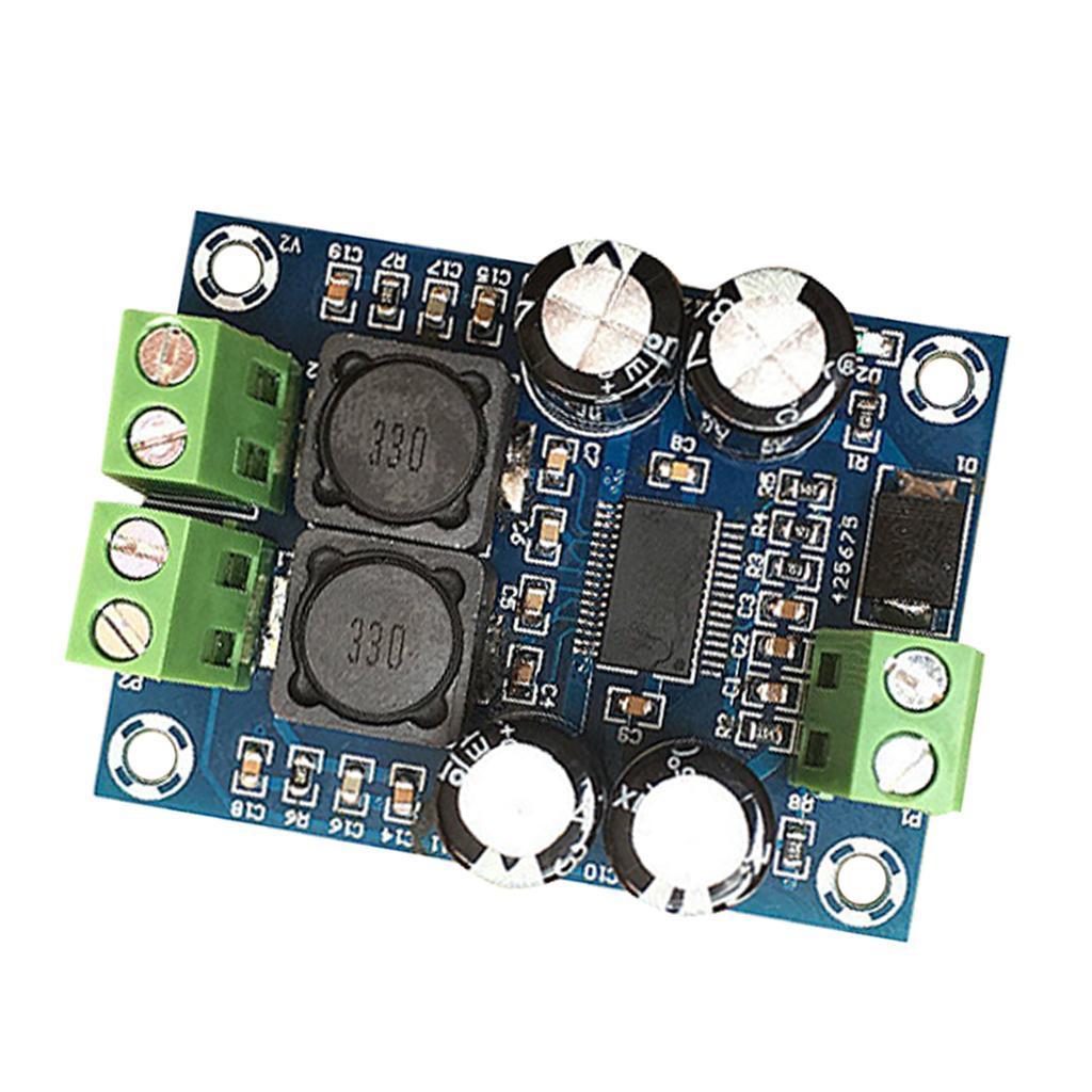 TPA3118 60W Mono Digital Audio Power Amplifier  10V-24V Class D