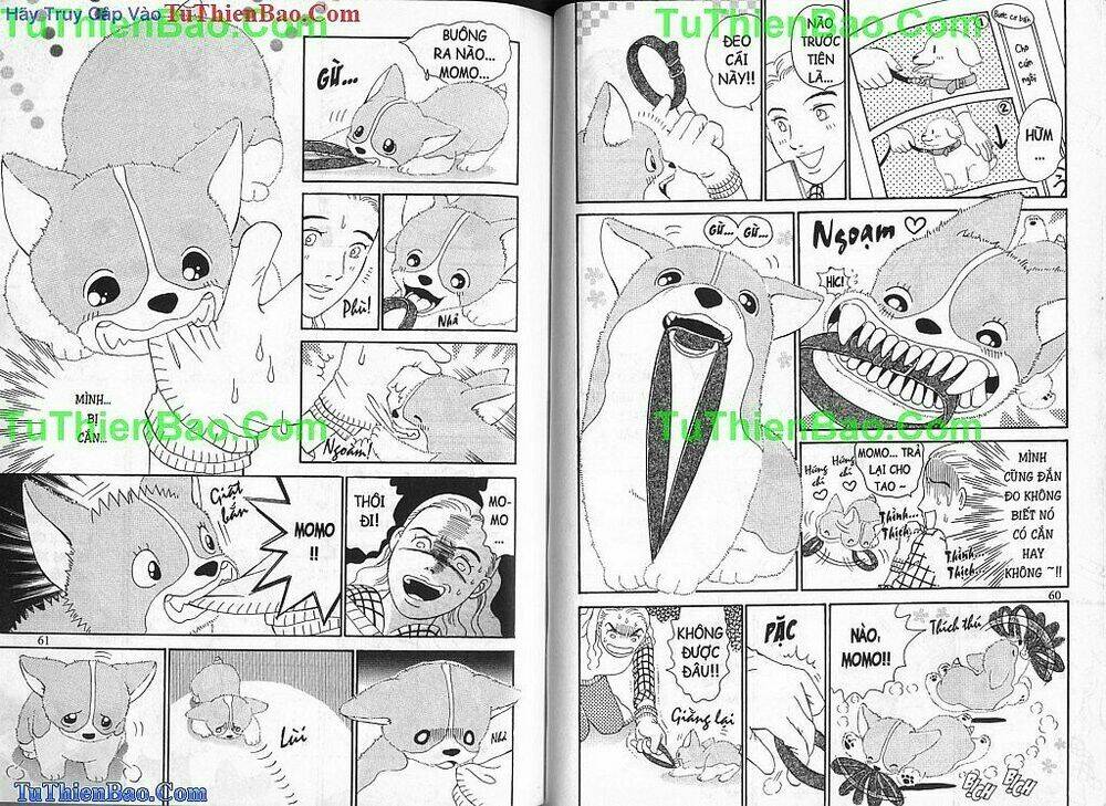 chó con mo mo chapter 1 31