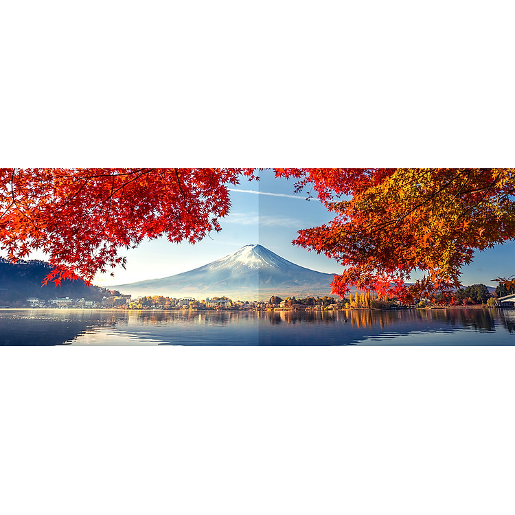 Màn Hình Thiết Kế Đồ Họa Chuyên Nghiệp ASUS ProArt PA278CV 27 inch WQHD 5ms 75 Hz IPS - Hàng Chính Hãng