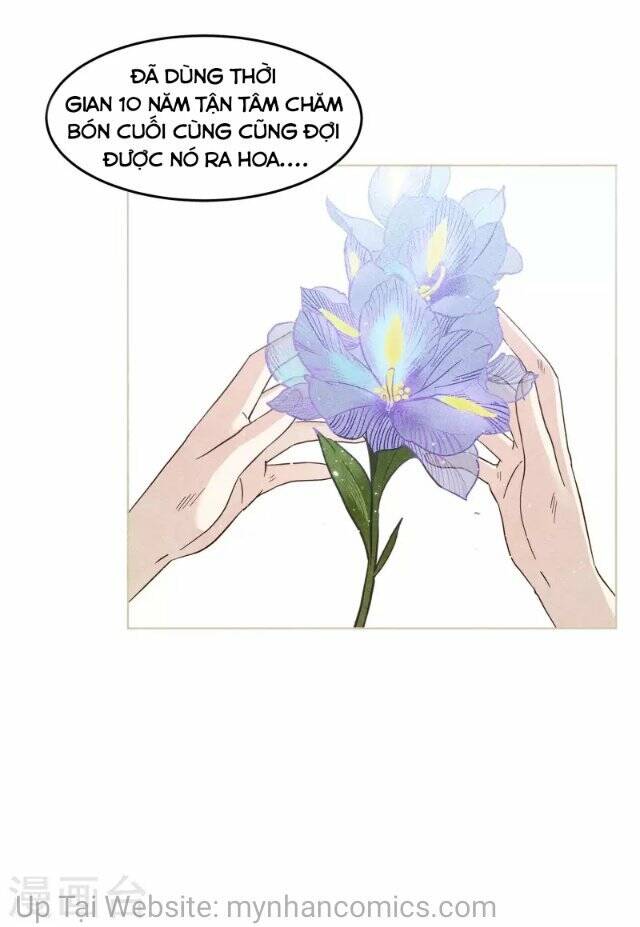 cô ấy đến rồi, xin nằm xuống! chapter 137 28