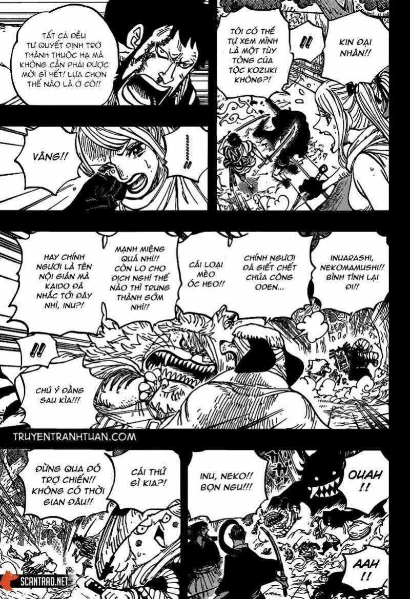 đảo hải tặc - one piece chapter 973 5