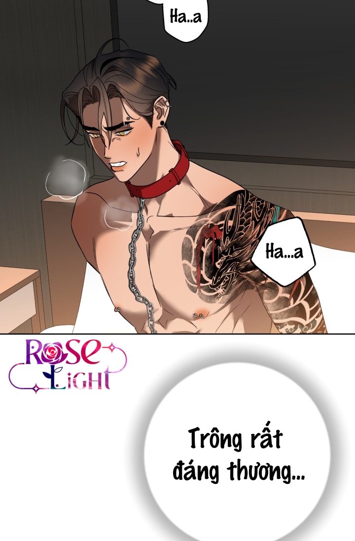 gia đình bại hoại chapter 3 27