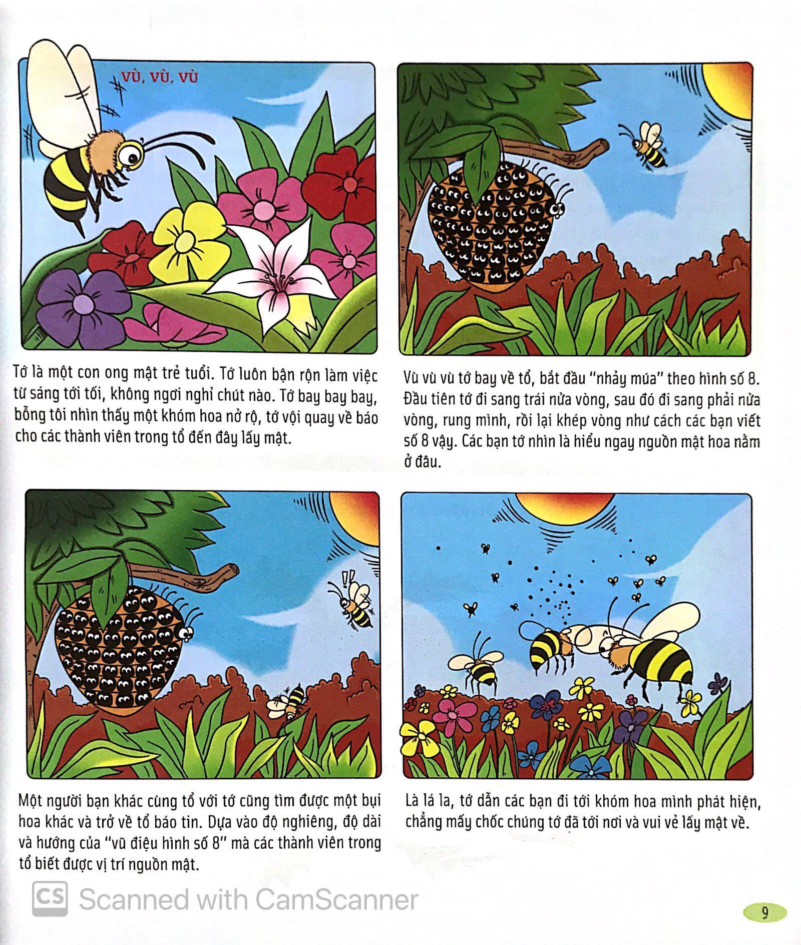 Bách Khoa Động Vật Dành Cho Trẻ Nhỏ - Côn Trùng