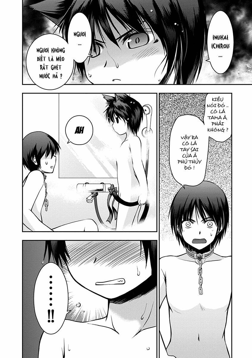 perowan! - hayaku shinasai! goshujin-sama chapter 11 15