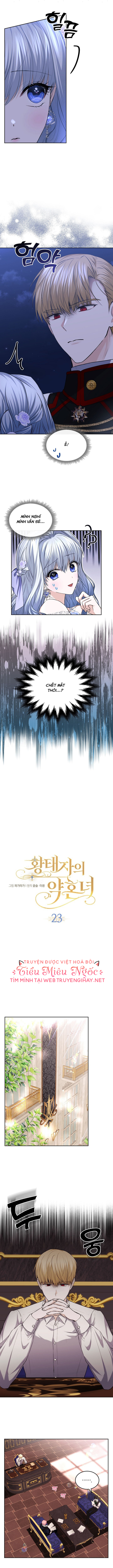 vị hôn thê giả của thái tử chapter 23 3