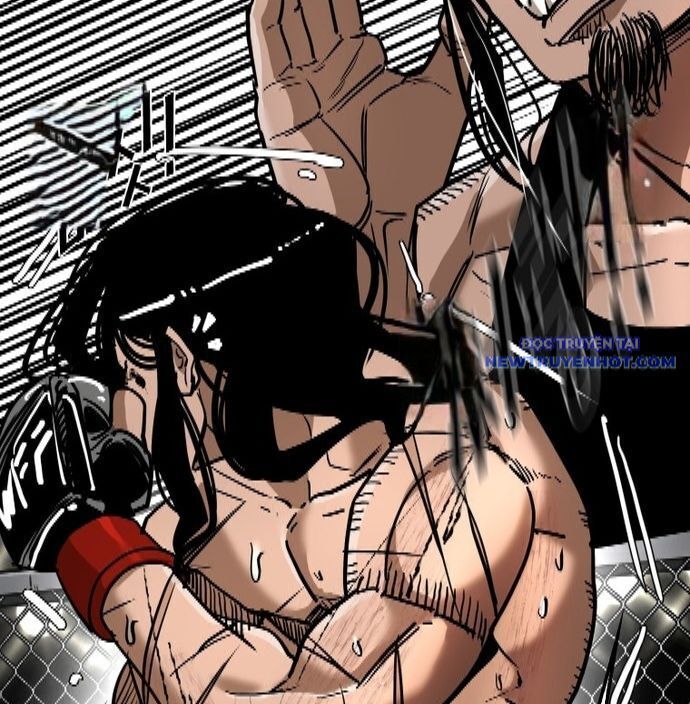 shark - cá mập chapter 338 62