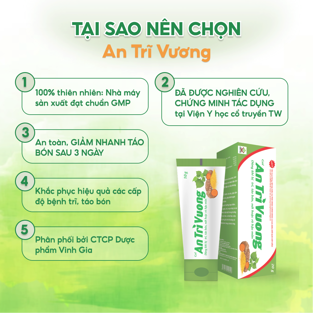 An Trĩ Vương Gel Cải Thiện Trĩ Nội, Trĩ Ngoại, Táo Bón, Nứt Kẽ Hậu Môn 20g/Tuýp