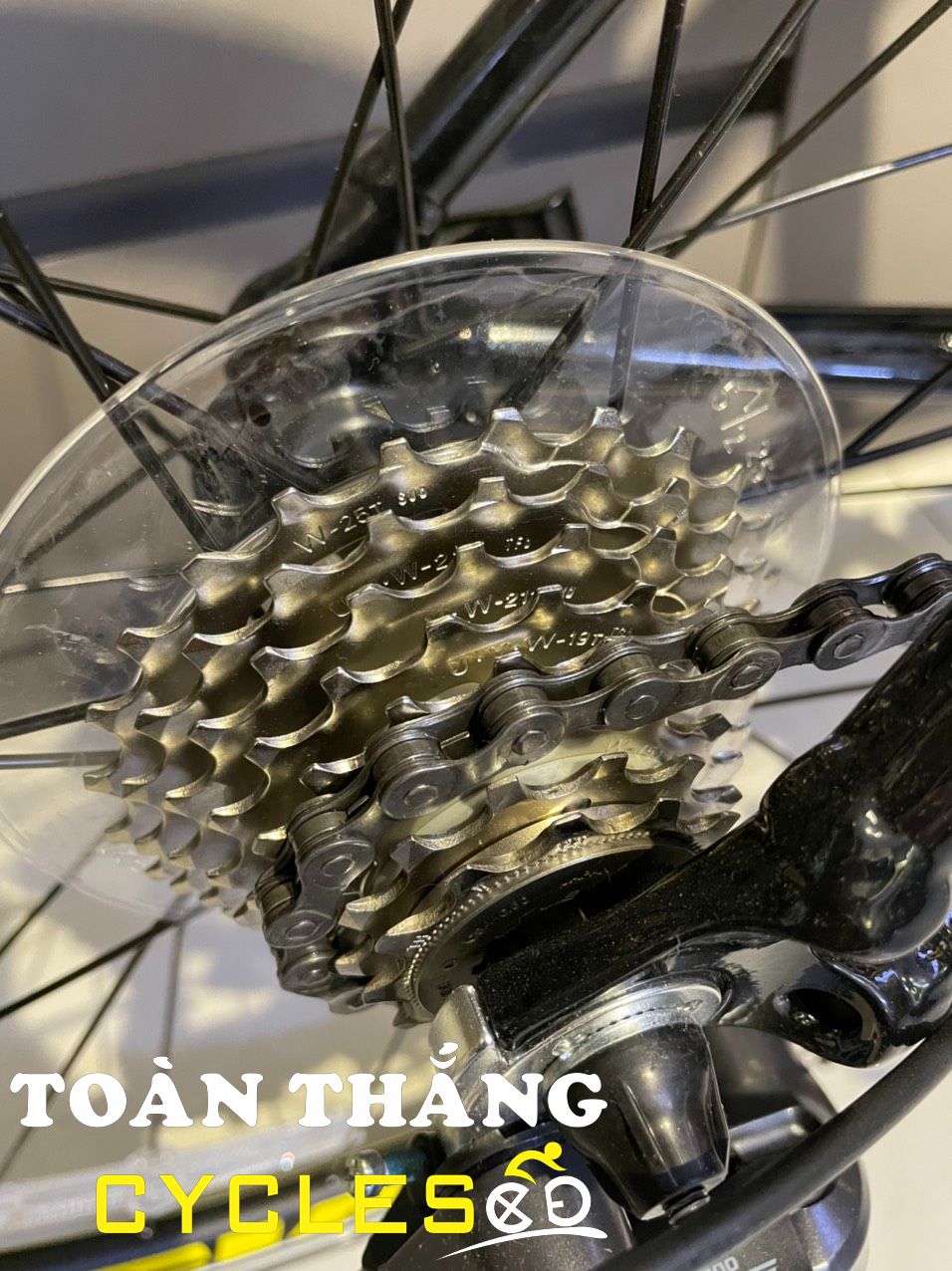 Xe đạp thể thao đua Giant OCR 5300 2019 Đen Vàng