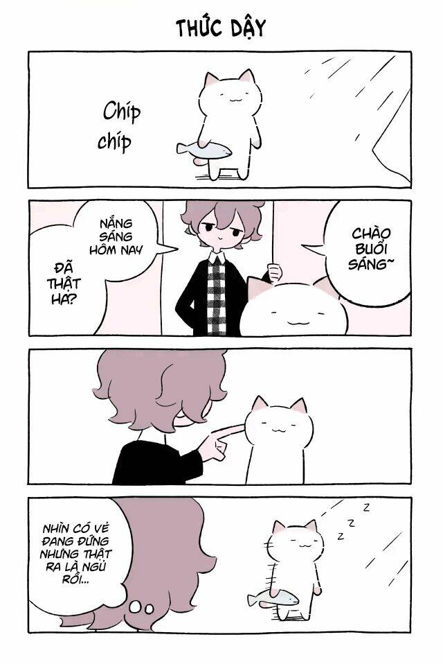 chú mèo kỳ diệu kyuu-chan chapter 540 2