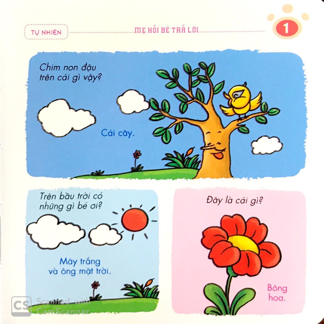 Flash card - Mẹ hỏi bé trả lời (4c) từ 2-6y