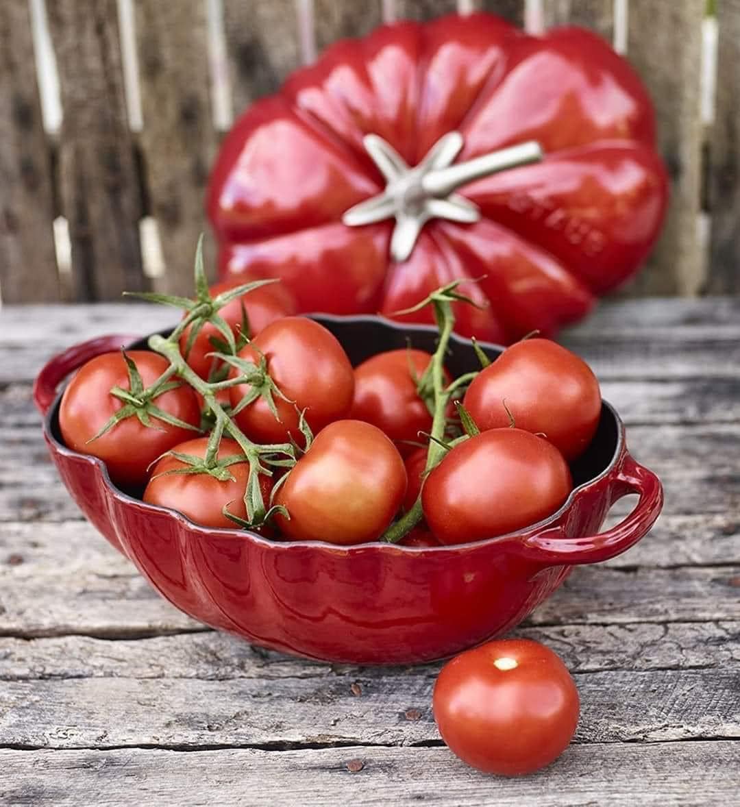 Nồi gang STAUB TOMATO COCOTTE CHE cà chua màu đỏ 25cm hàng chính hãng