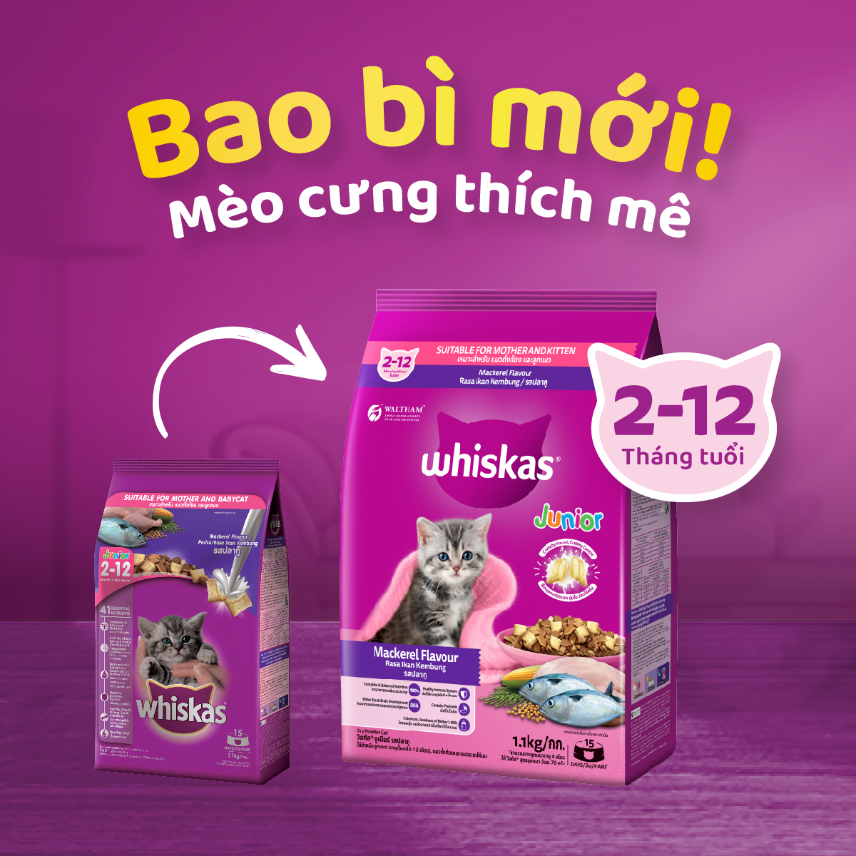 Thức Ăn Cho Mèo Con Whiskas Junior 2-12 Months Mackerel Flavour Vị Cá Thu 1.1kg/Túi