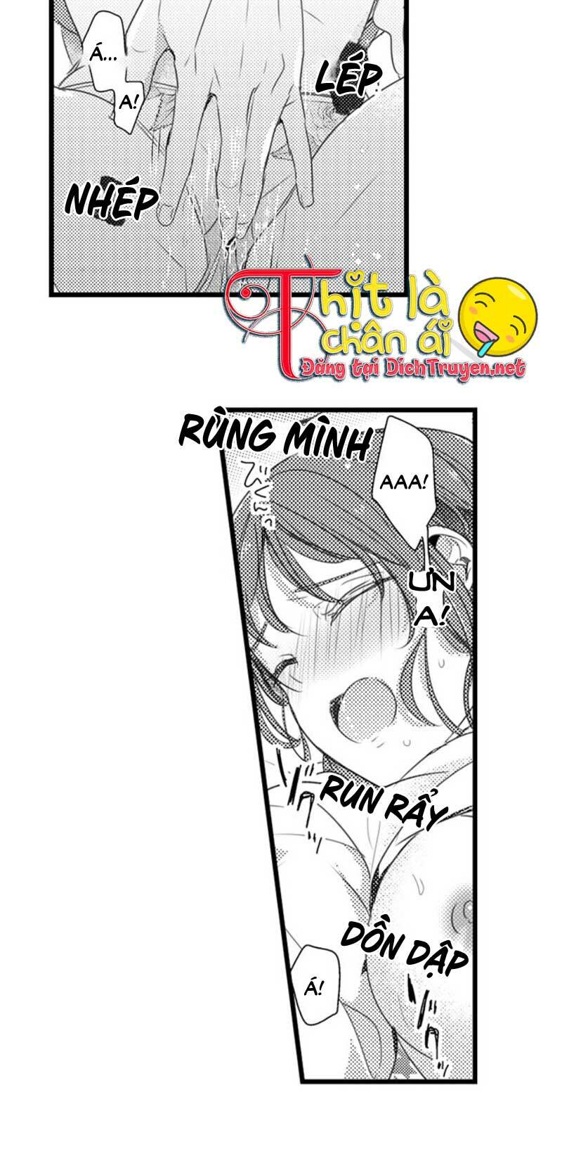 sai rồi, sếp tây nhà tôi không phải là quý ông đâu! chapter 24 13