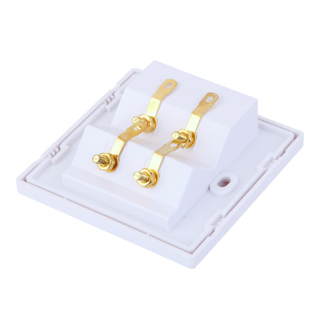 4 Count Speaker Wall Plate 2+4 Banana Binding Posts for Speaker Decor
