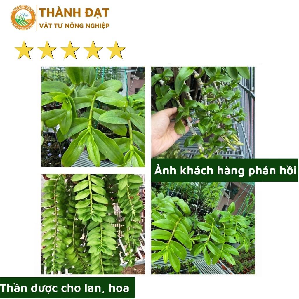 Phân trùn quế dạng hạt mận dùng cho hoa lan và hoa hồng (túi 1kg)