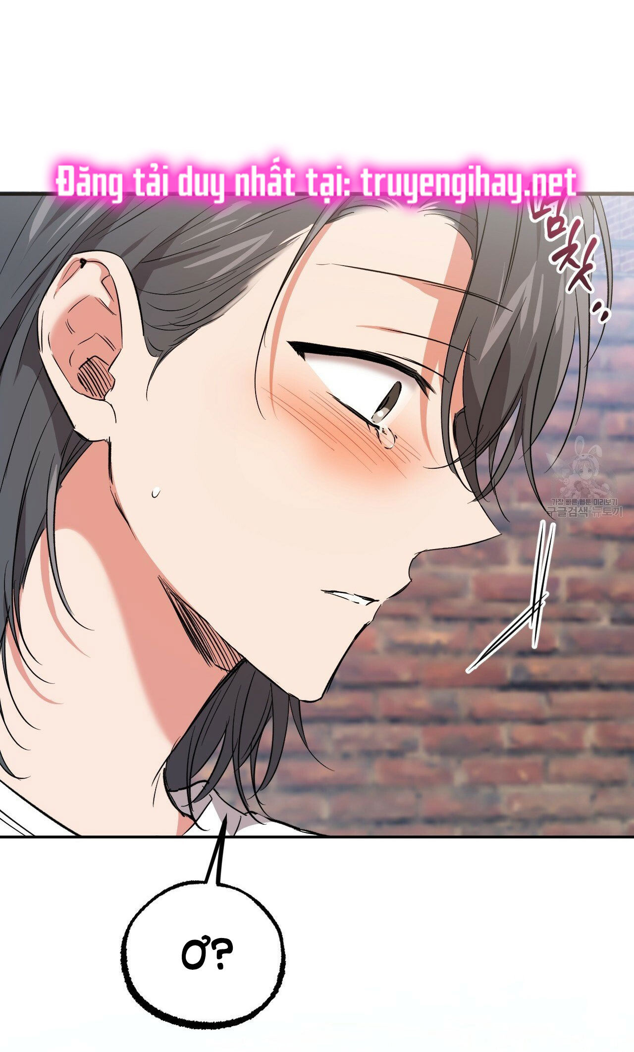 những chú thỏ của hapypy chapter 56.1 20