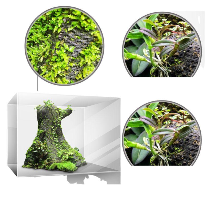 Lưới giữ ẩm bán cạn, lưới làm tường rêu terrarium dày 3mm