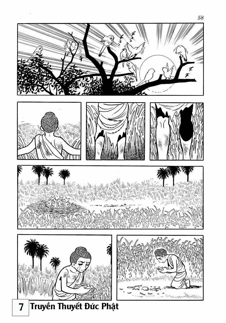 buddha - truyền thuyết đức phật chapter 31 25