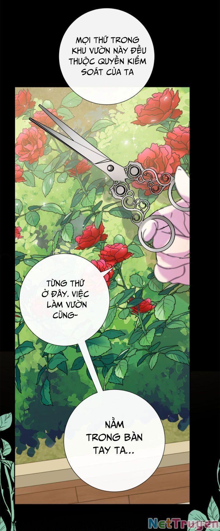 xin ngài đừng ăn tôi chapter 47 19