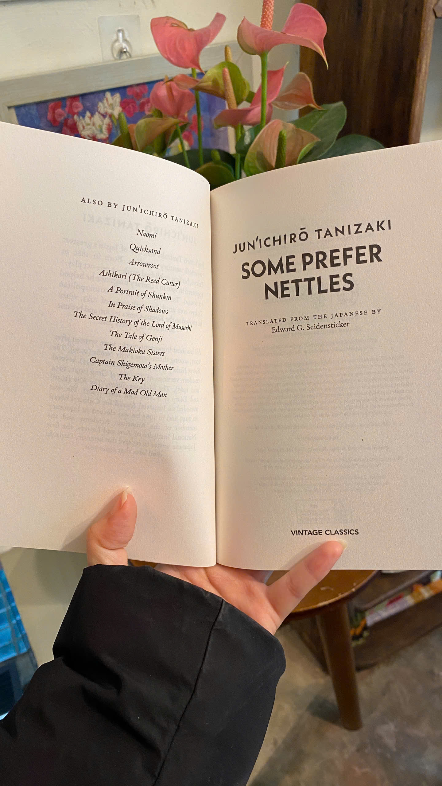 Sách - Some Prefer Nettles by Junichiro Tanizaki| Japanese Literature/ Classics/ Ngoại văn Nhập khẩu