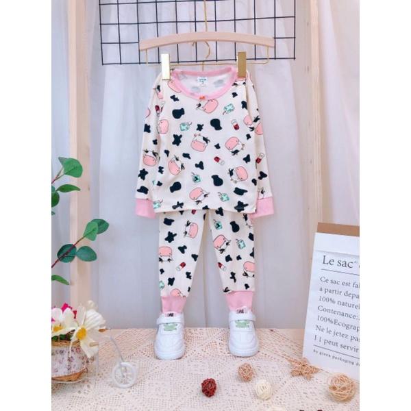 Bộ dài tay bozip cotton loại đẹp hình in màu và thêu đắp cho bé