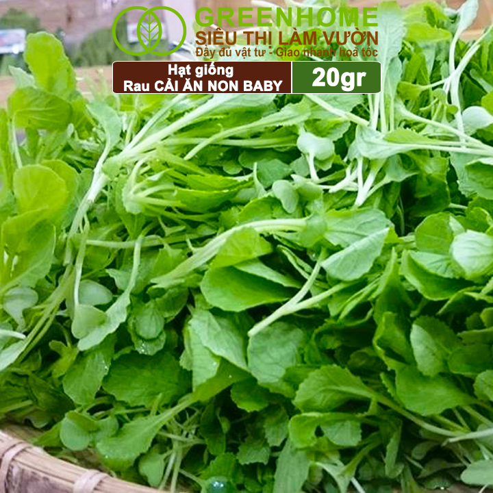 Hạt Giống Rau Cải Ăn Non Greenhome, Gói 20g, Dễ Trồng Quanh Năm, Nảy Mầm Cao, Thu Hoạch Nhanh, Năng Suất Cao R05