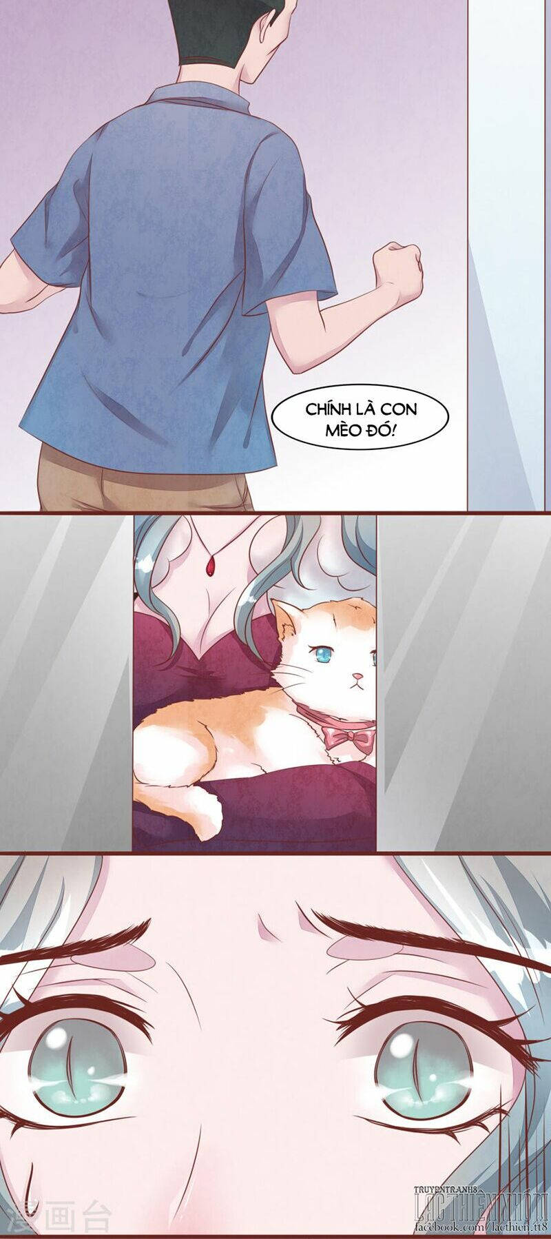 đào tạo nuôi dưỡng bạn trai mèo chapter 52 25