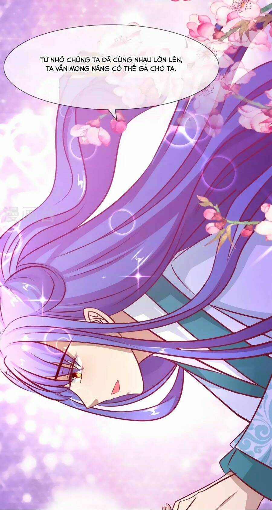 thỏ yêu tiểu vương phi chapter 16 26