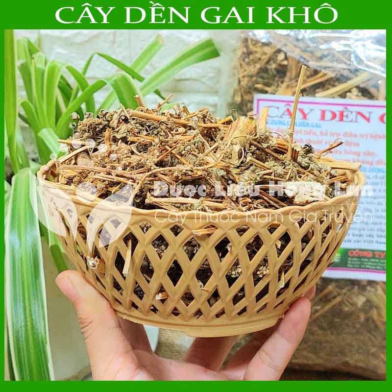 Cây Dền Gai khô sạch đóng gói 500gram