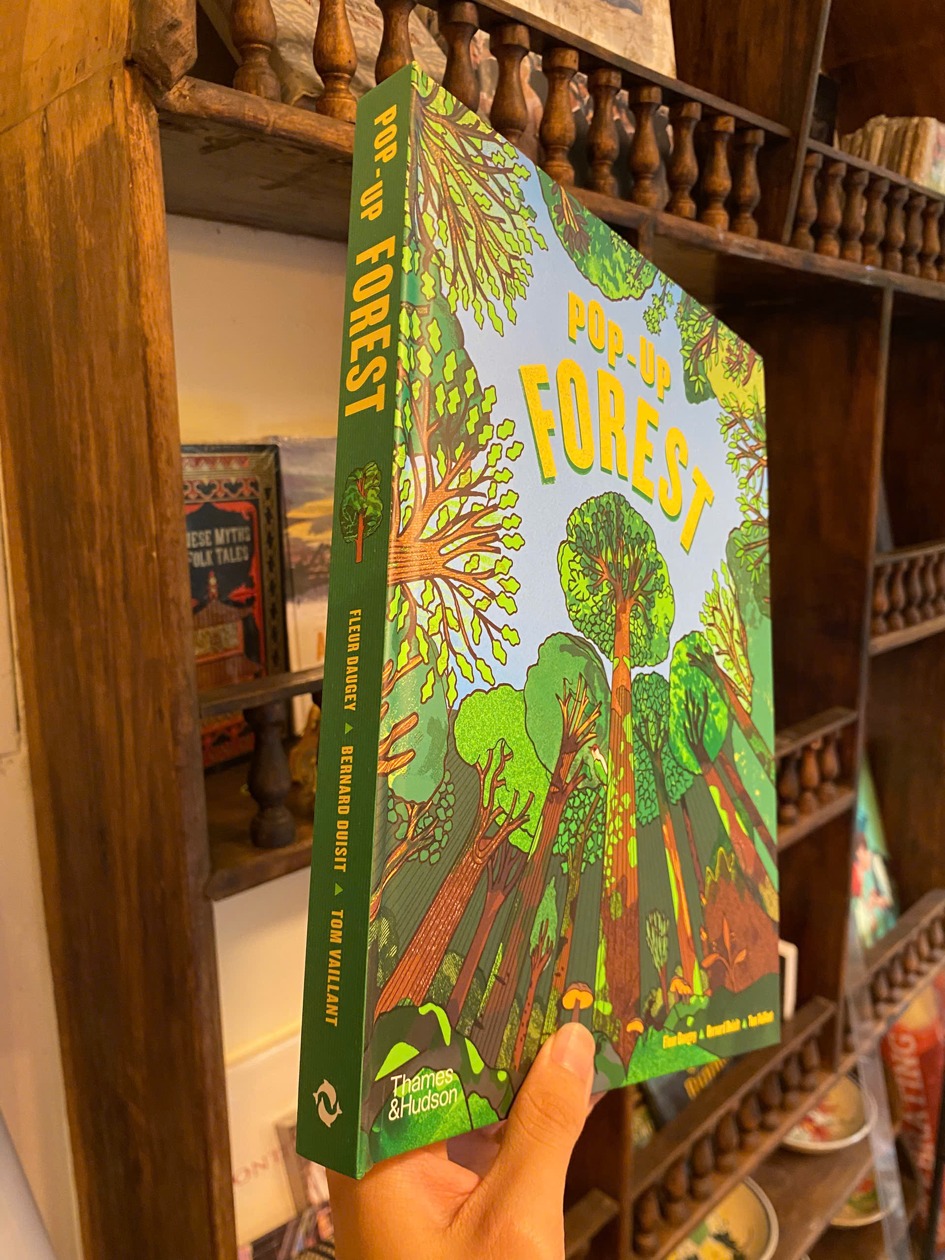 Sách - Pop-Up Forest by Tom Vaillant | Children Book in English / Ngoại văn Thiếu nhi Nhập khẩu