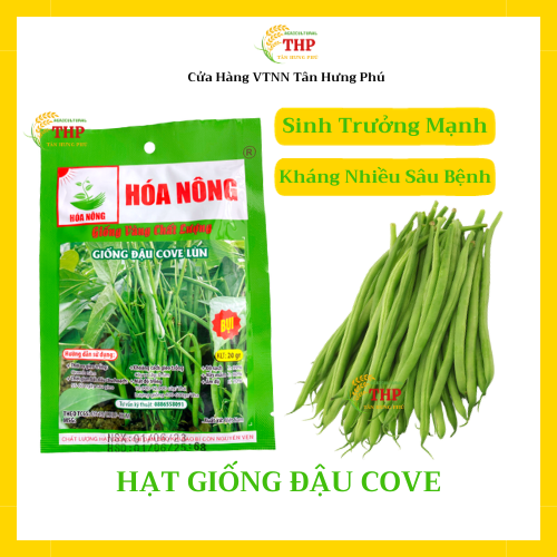 Hạt giống Đậu Cove Lùn | Hạt Giống | gói 20gr