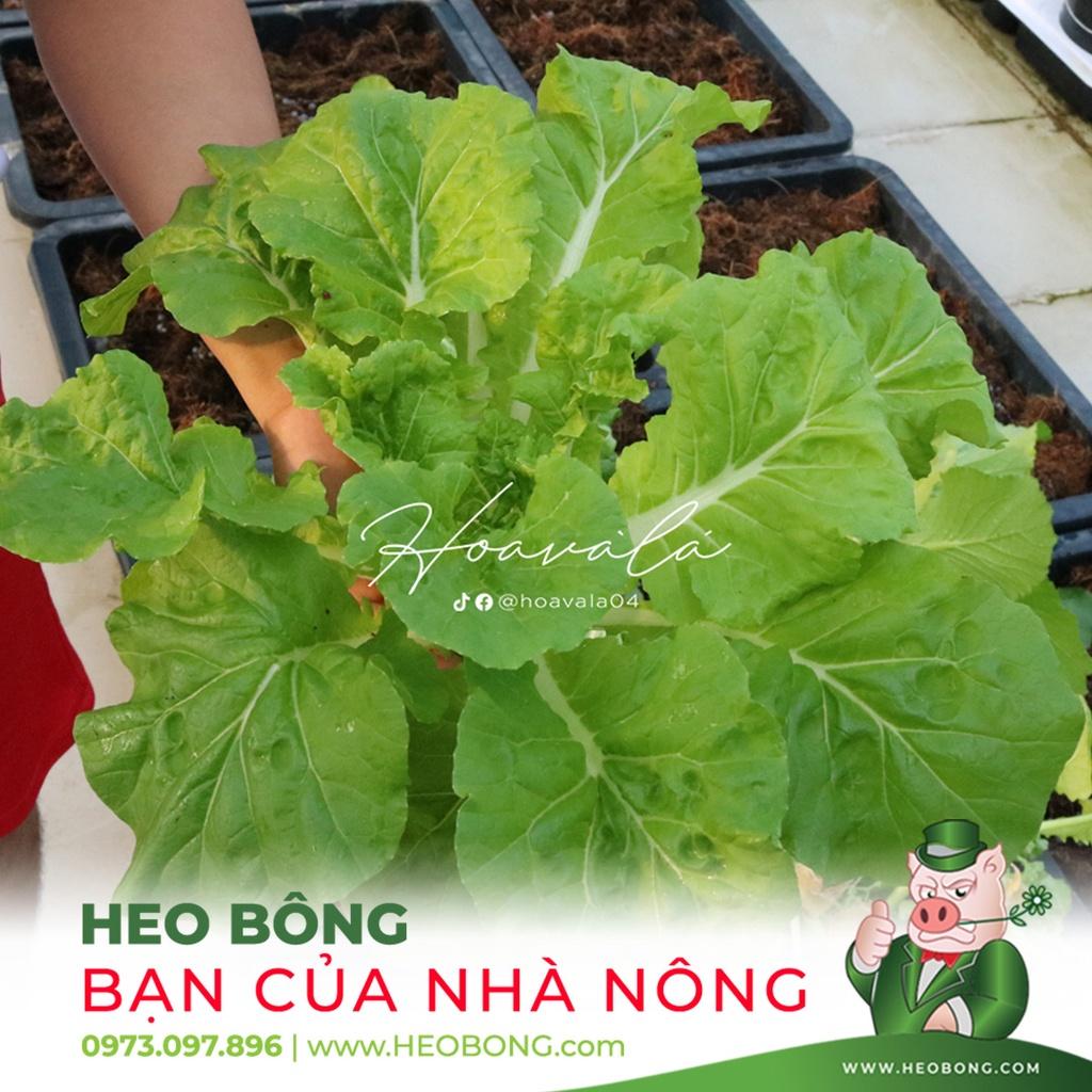 Dinh dưỡng trồng thủy canh Rau Ăn Lá Hydroumat V - 500ml/Chai