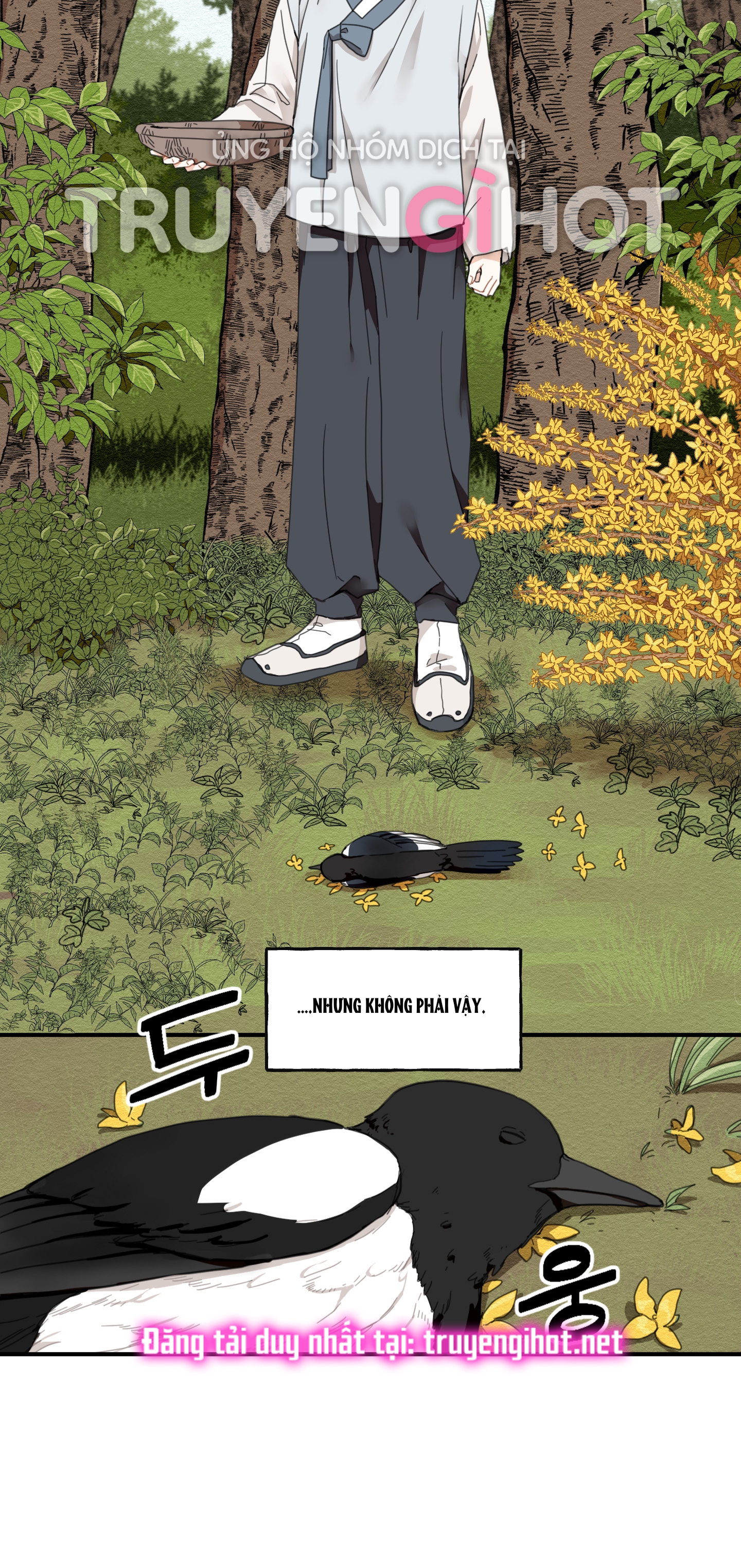 [18+] con đường hoa chuông vàng - liên kiều rơi chốn này chapter 1.1 22