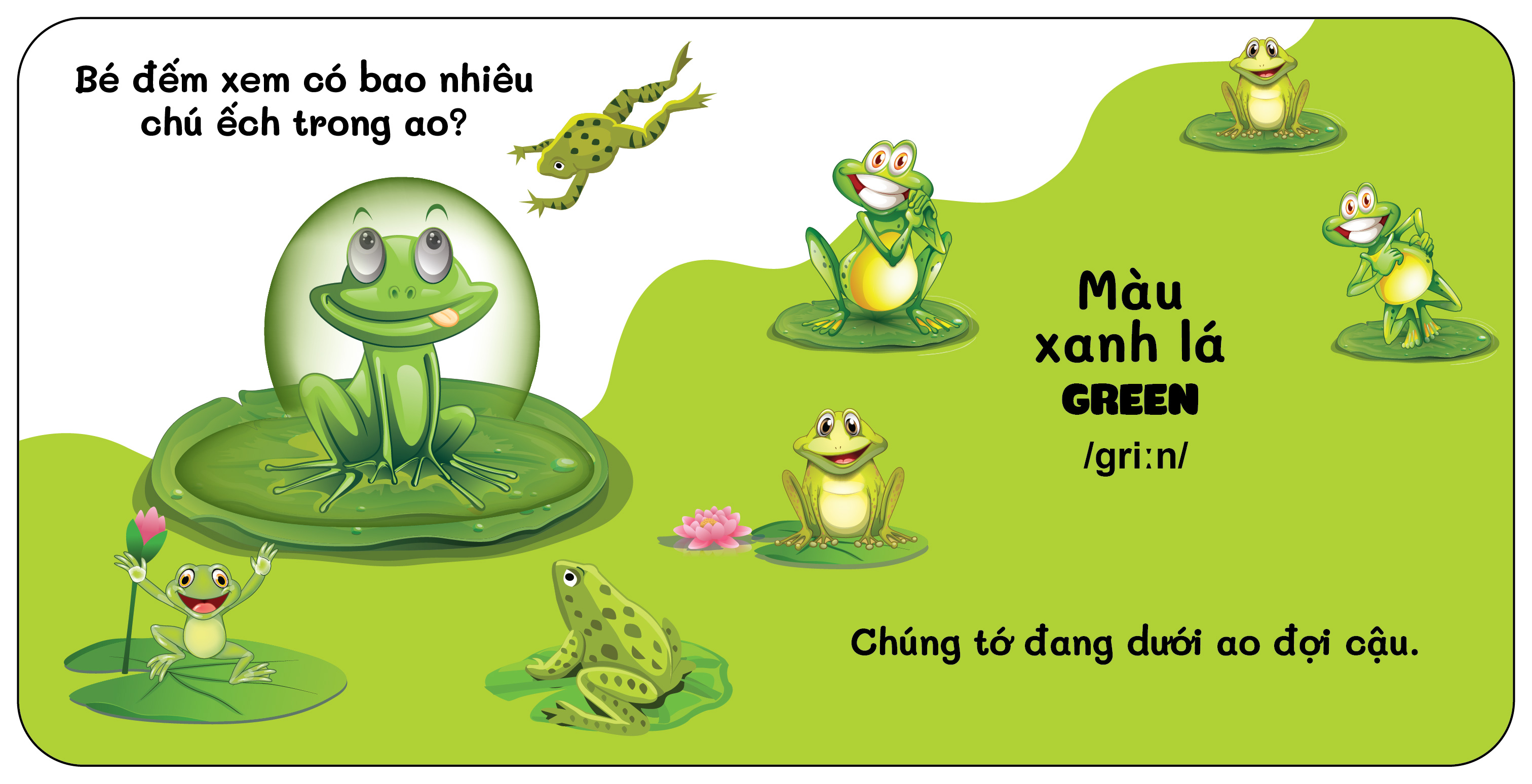 Sách - Đố Bé Ở Sau Là Gì - Song Ngữ Anh Việt - Màu Sắc - Opposite
