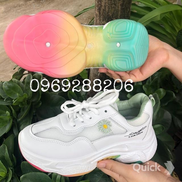 Giày sneakers thể thao giày nữ phối lưới thoáng khí hoa cúc độn đế cầu vồng, tăng chiều cao