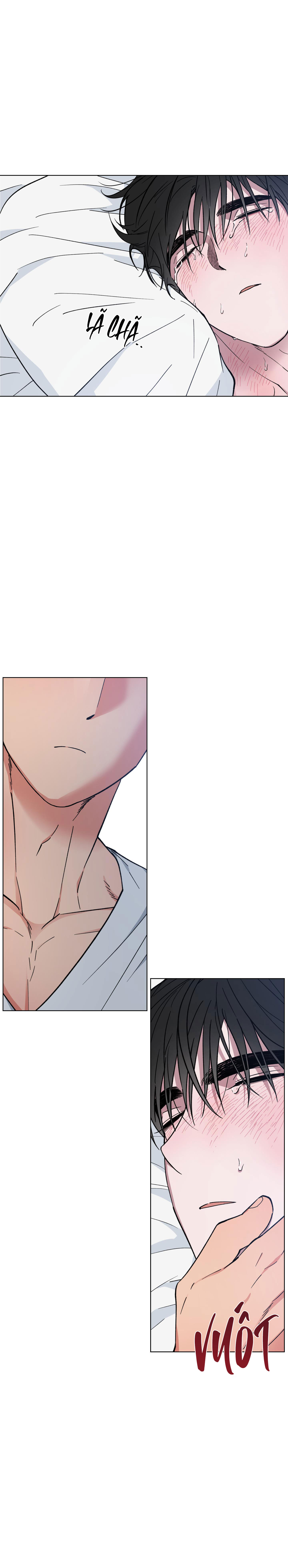 bình minh trên sông mây chapter 25 22