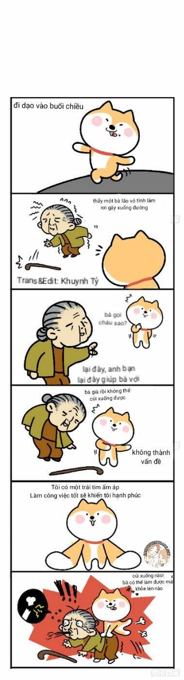 anh em shiba chapter 11 6