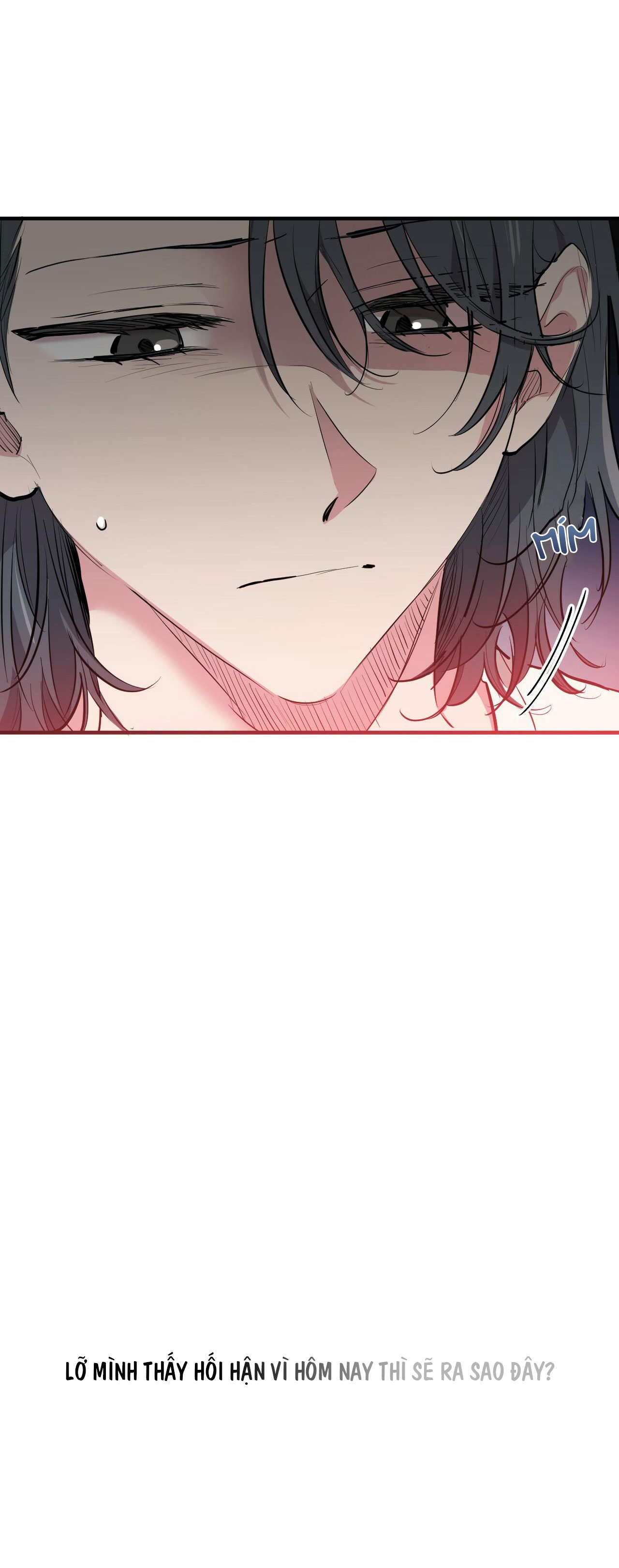 những chú thỏ của hapypy chapter 36 28