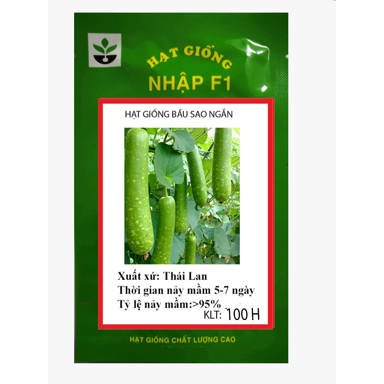 100 HẠT GIỐNG BẦU SAO NGẮN