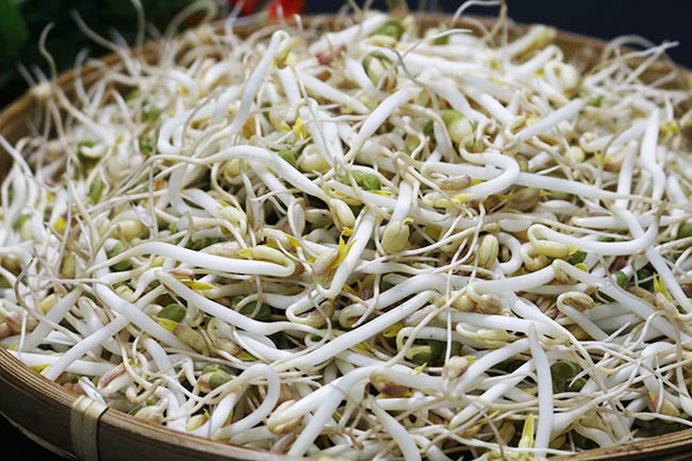 Hạt Giống Mầm Giá Đậu Xanh 50 Gram
