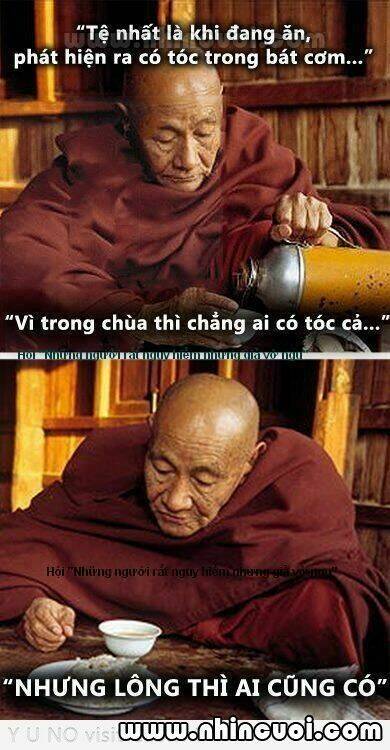 hình ảnh hài hước new chapter 17 19