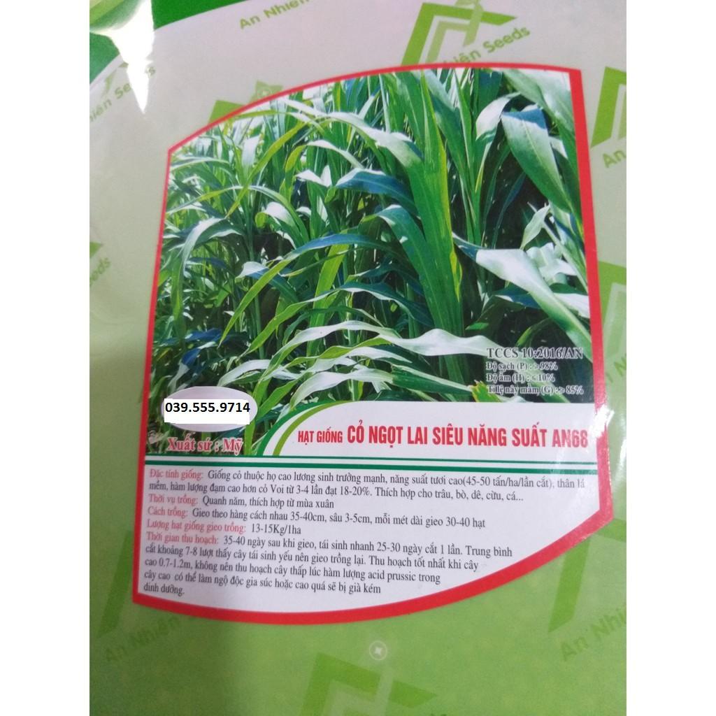 Hạt Cỏ Ngọt Lai 1kg - Cỏ Chăn Nuôi