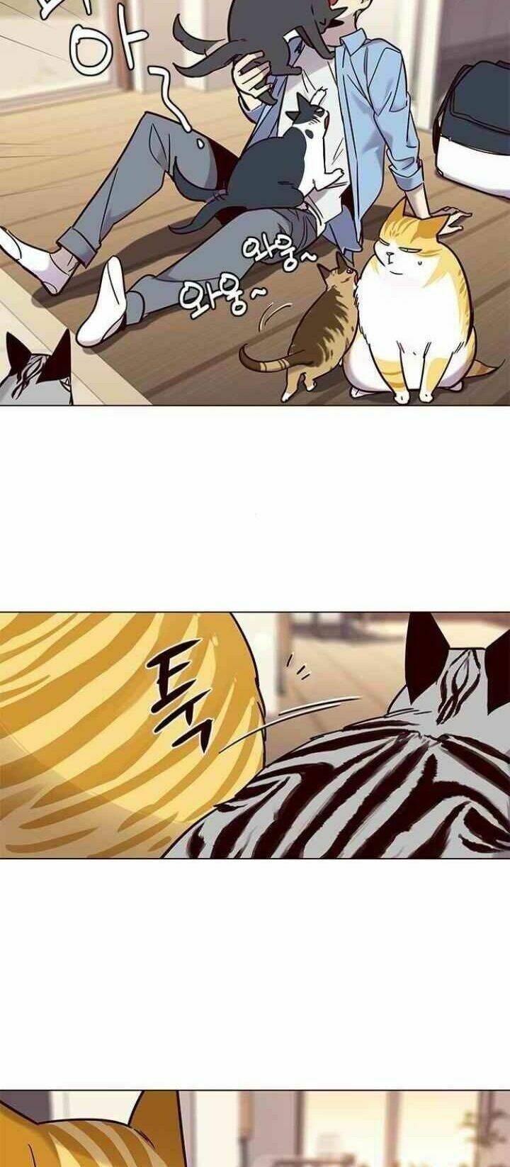 biến thân thành mèo chapter 99 65